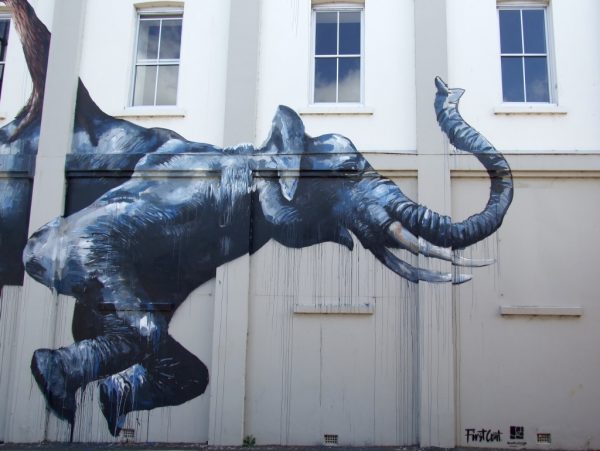 Elephant_artwork_Toowoomba