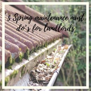 5 spring maintenance must do’s for landlords