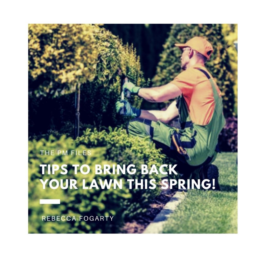 Tips to bring back your lawn this spring