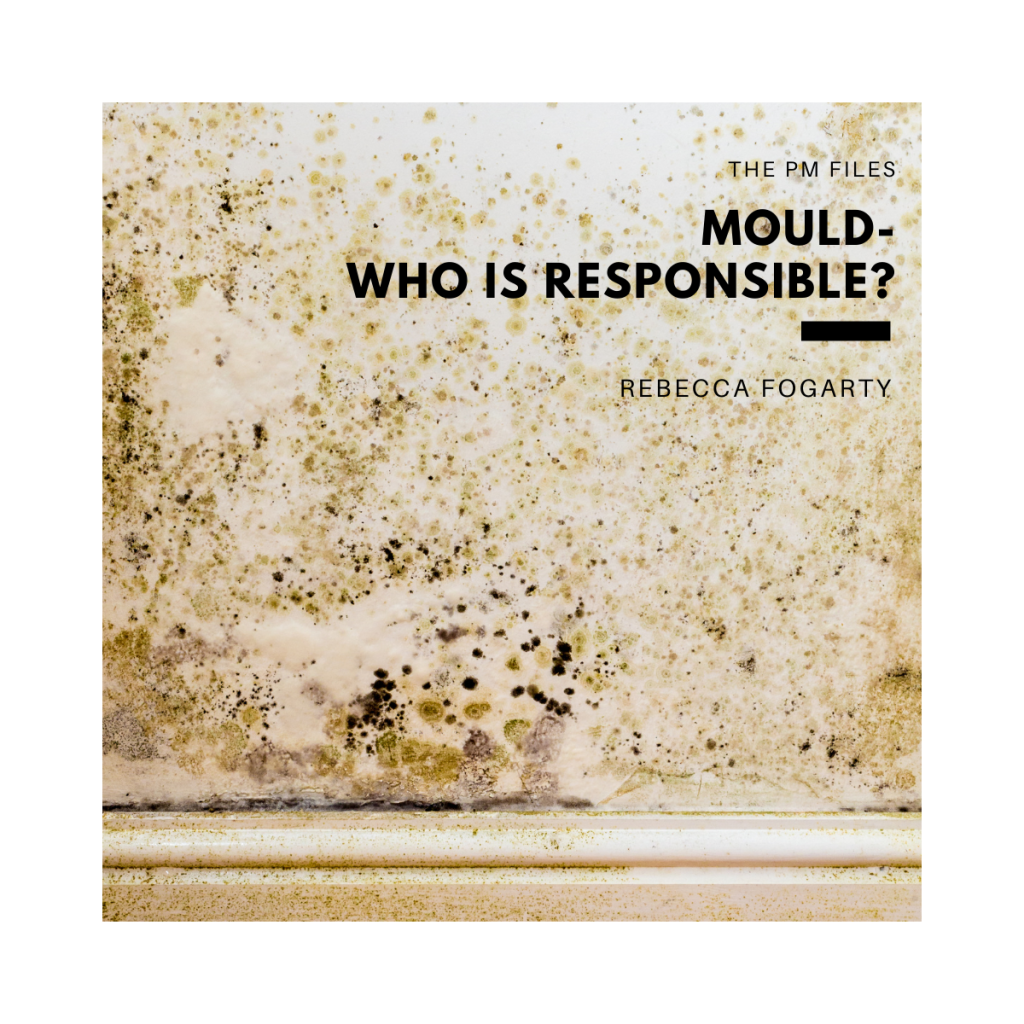 Mould - Who is Responsible