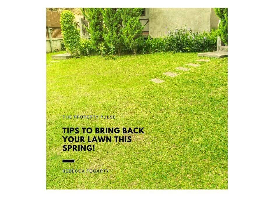 Tips to Bring Back Your Lawn this Year