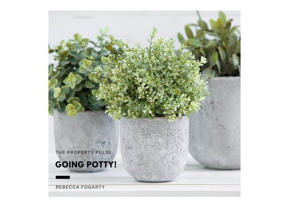 Going Potty!