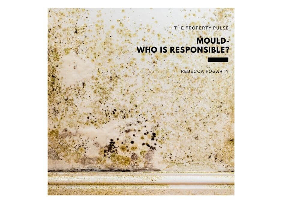 Mould – Who is Responsible?
