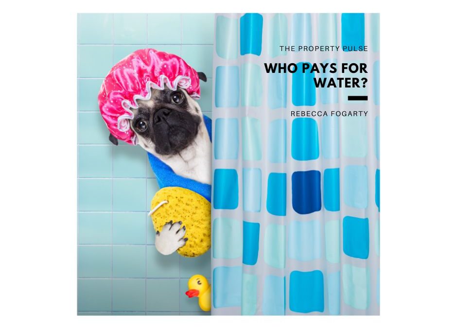 Who Pays for Water in a Rental?