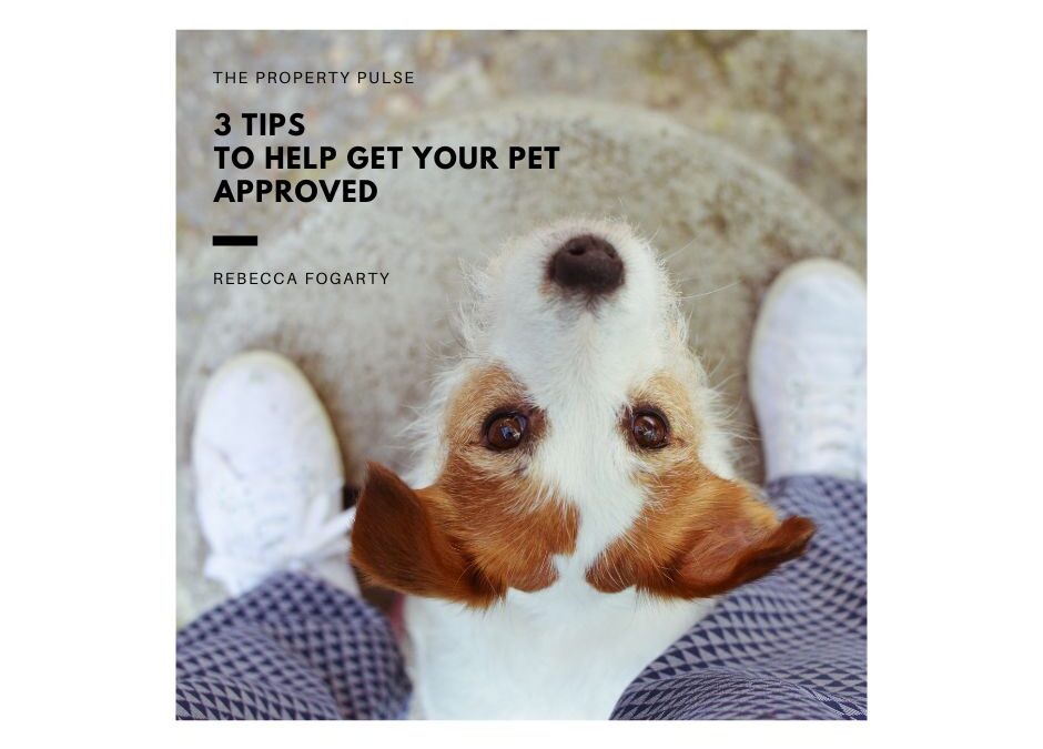 3 Tips to Help Get Your Pet Approved