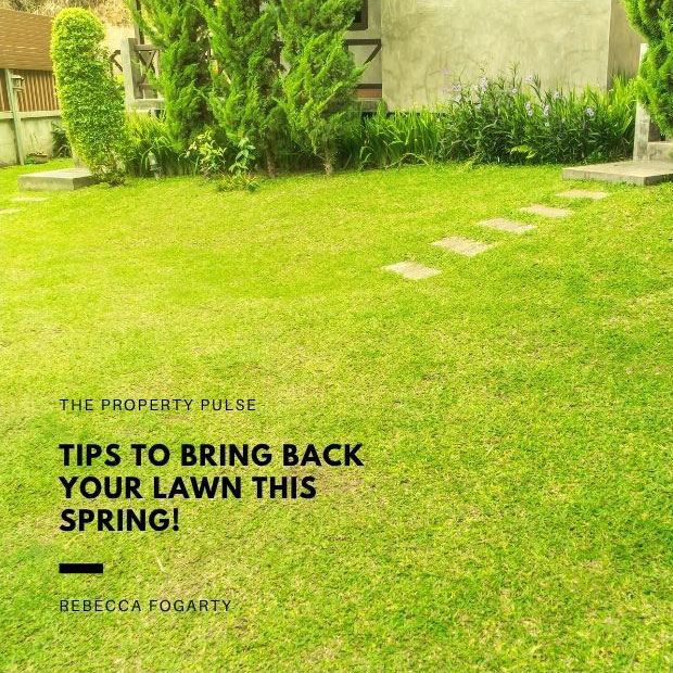 Tips to Bring Back Your Lawn this Year