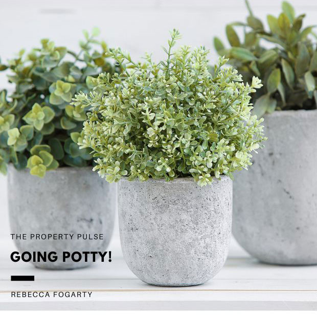 Going Potty!