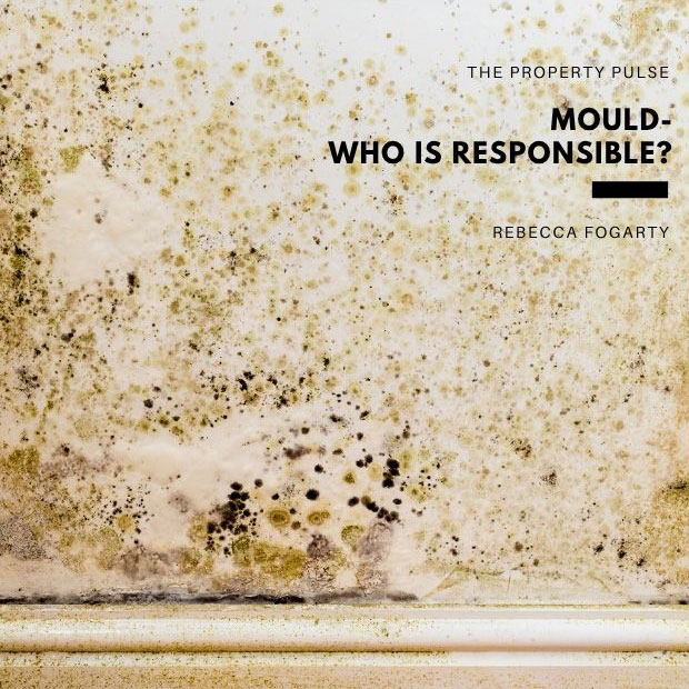 Mould – Who is Responsible?
