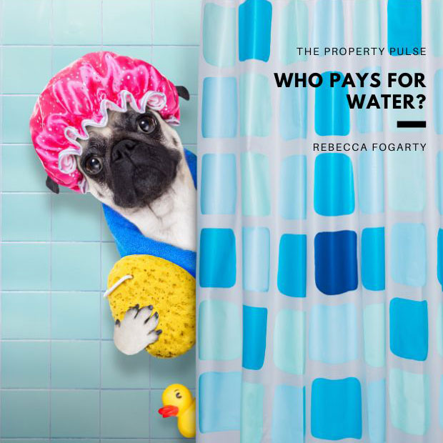 Who Pays for Water in a Rental?