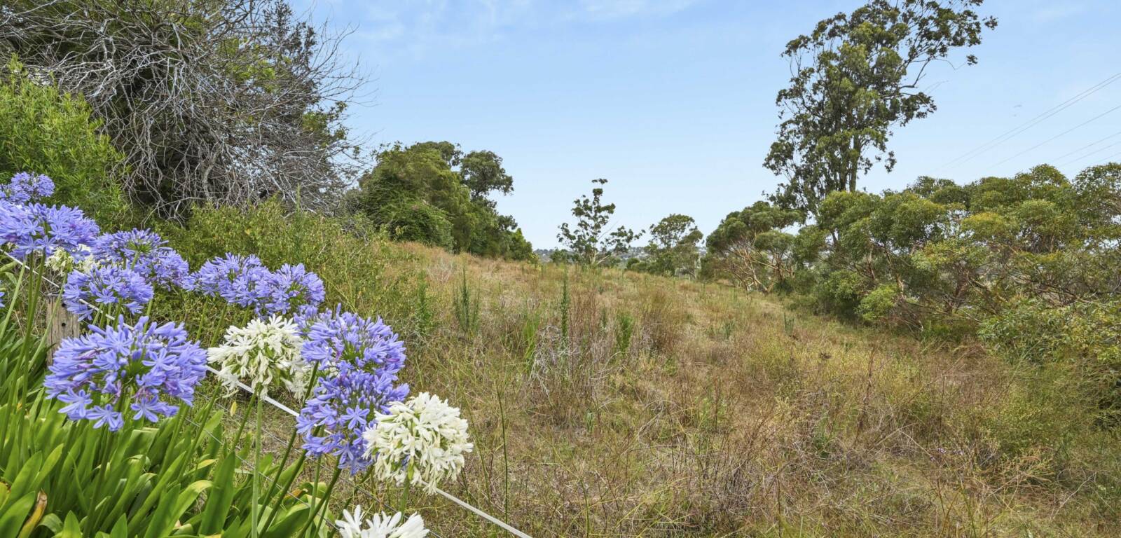 705 Anzac Ave, DRAYTON, QLD 4350 AU