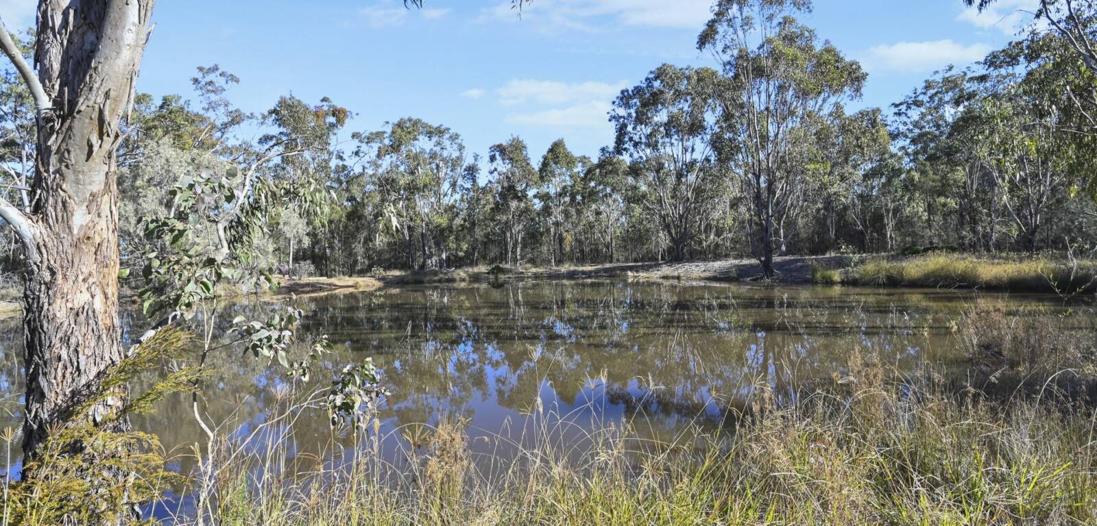 165 Hendon Deuchar Rd, DEUCHAR, QLD 4362 AU