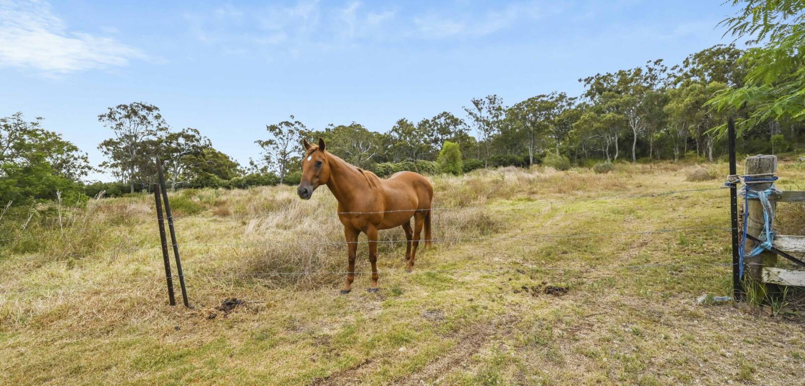 705 Anzac Ave, DRAYTON, QLD 4350 AU