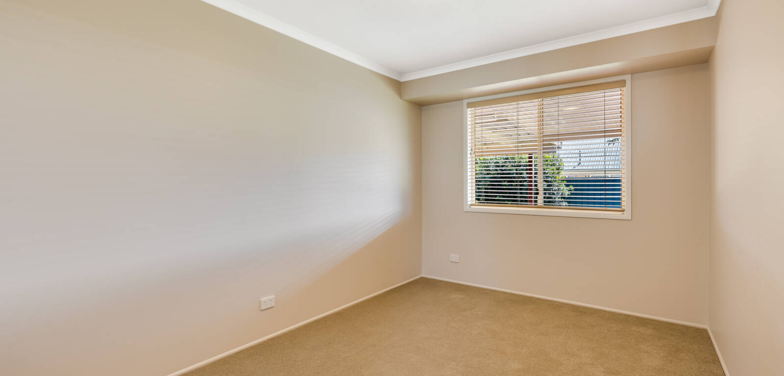 14 Gerbera Ct, MIDDLE RIDGE, QLD 4350 AU