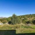 5 Redlands Drive, GOWRIE JUNCTION, QLD 4352 AU