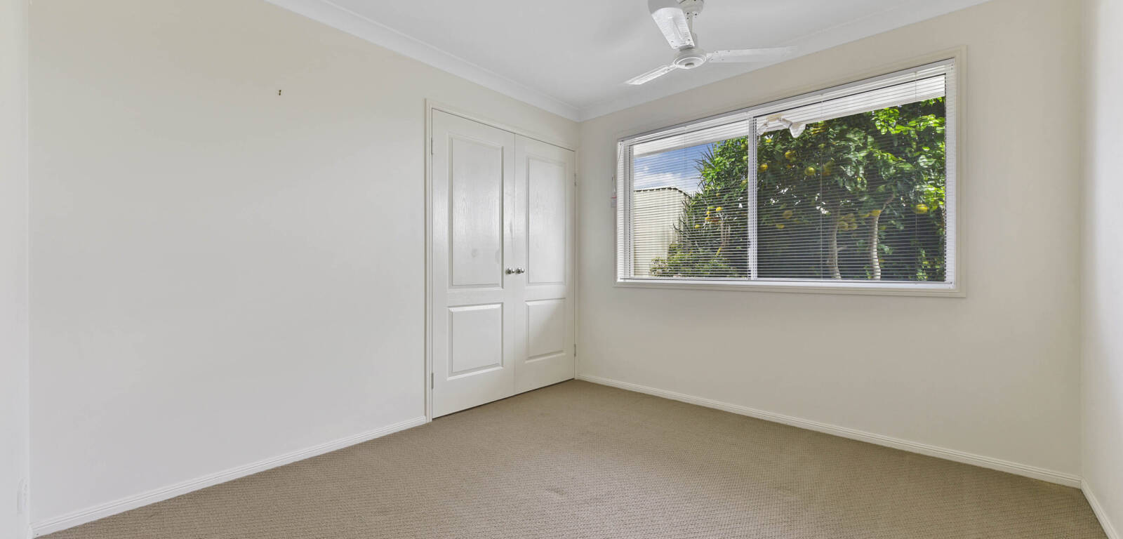 13 Rosella Street, RANGEVILLE, QLD 4350 AU