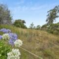 705 Anzac Ave, DRAYTON, QLD 4350 AU