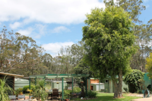 14 Brazier Road, KLEINTON, QLD 4352 AU